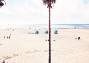 Venice Beach